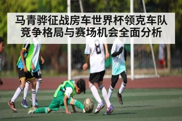 马青骅征战房车世界杯领克车队竞争格局与赛场机会全面分析